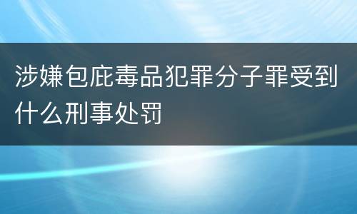 涉嫌包庇毒品犯罪分子罪受到什么刑事处罚
