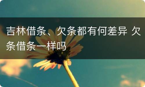 吉林借条、欠条都有何差异 欠条借条一样吗
