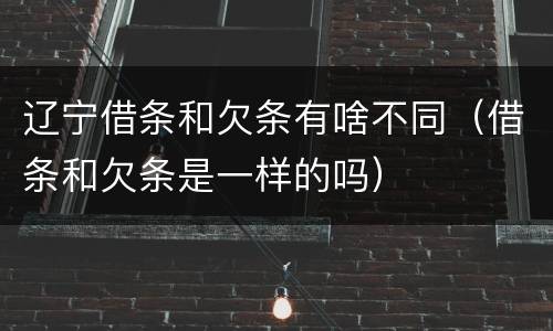 辽宁借条和欠条有啥不同（借条和欠条是一样的吗）
