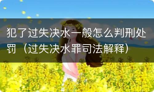犯了过失决水一般怎么判刑处罚（过失决水罪司法解释）