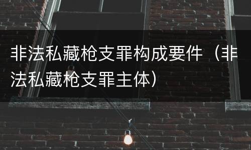 非法私藏枪支罪构成要件（非法私藏枪支罪主体）