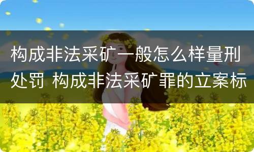 构成非法采矿一般怎么样量刑处罚 构成非法采矿罪的立案标准