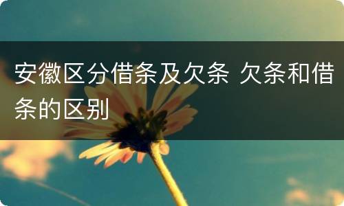 安徽区分借条及欠条 欠条和借条的区别