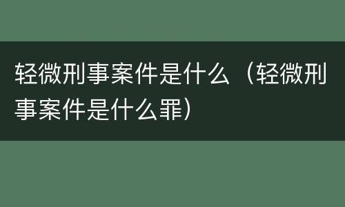 轻微刑事案件是什么（轻微刑事案件是什么罪）