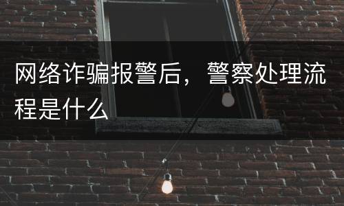 网络诈骗报警后，警察处理流程是什么