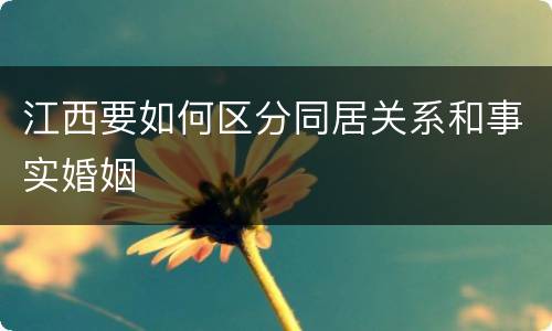 江西要如何区分同居关系和事实婚姻