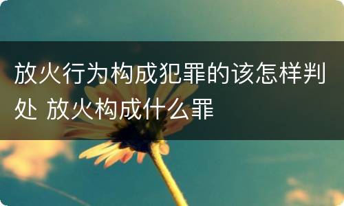 放火行为构成犯罪的该怎样判处 放火构成什么罪