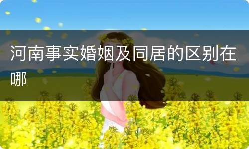 河南事实婚姻及同居的区别在哪