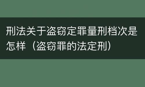 刑法关于盗窃定罪量刑档次是怎样（盗窃罪的法定刑）