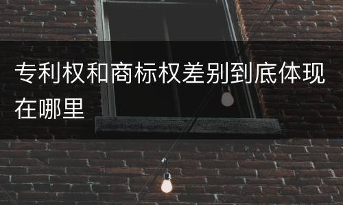 专利权和商标权差别到底体现在哪里
