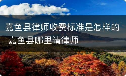 嘉鱼县律师收费标准是怎样的 嘉鱼县哪里请律师