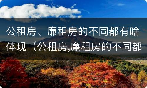 公租房、廉租房的不同都有啥体现（公租房,廉租房的不同都有啥体现呢）