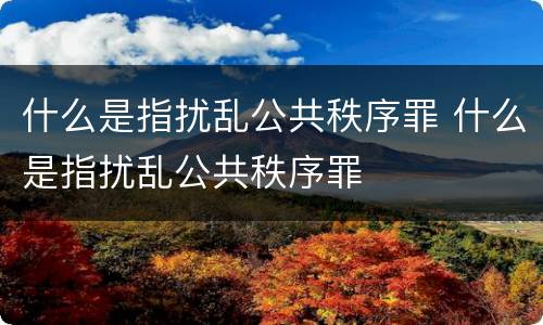什么是指扰乱公共秩序罪 什么是指扰乱公共秩序罪