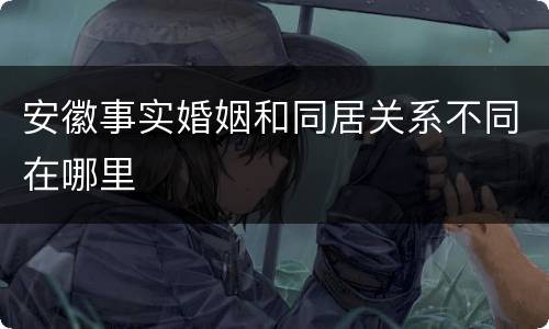 安徽事实婚姻和同居关系不同在哪里
