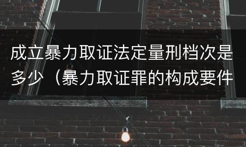 成立暴力取证法定量刑档次是多少（暴力取证罪的构成要件）