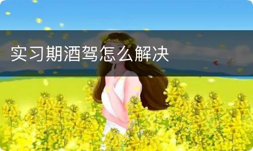 实习期酒驾怎么解决