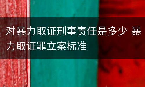 对暴力取证刑事责任是多少 暴力取证罪立案标准