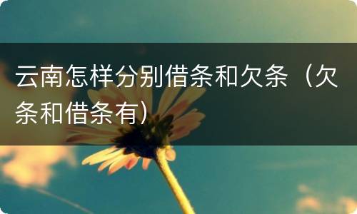 云南怎样分别借条和欠条（欠条和借条有）