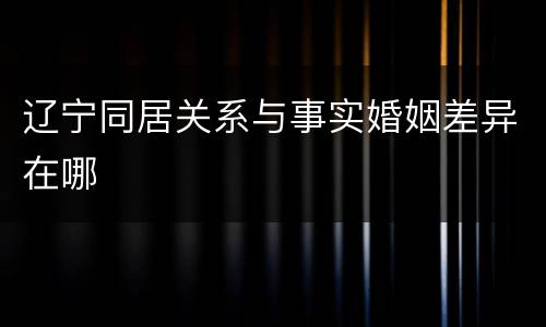 辽宁同居关系与事实婚姻差异在哪