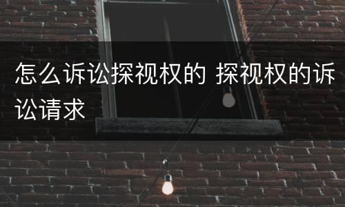 怎么诉讼探视权的 探视权的诉讼请求
