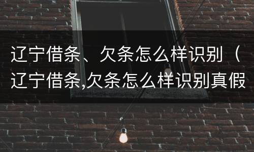 辽宁借条、欠条怎么样识别（辽宁借条,欠条怎么样识别真假）