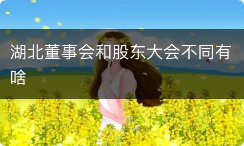 湖北董事会和股东大会不同有啥