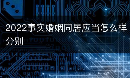 2022事实婚姻同居应当怎么样分别