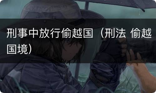 刑事中放行偷越国（刑法 偷越国境）