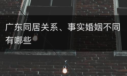 广东同居关系、事实婚姻不同有哪些