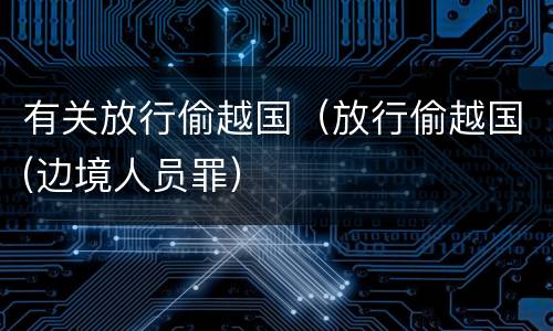 有关放行偷越国（放行偷越国(边境人员罪）
