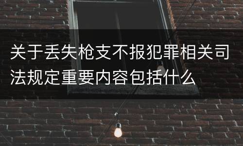 关于丢失枪支不报犯罪相关司法规定重要内容包括什么