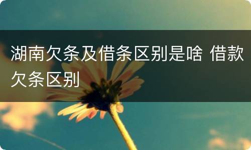 湖南欠条及借条区别是啥 借款欠条区别