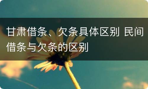 甘肃借条、欠条具体区别 民间借条与欠条的区别