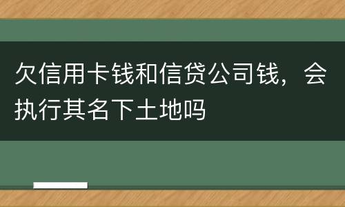 欠信用卡钱和信贷公司钱，会执行其名下土地吗