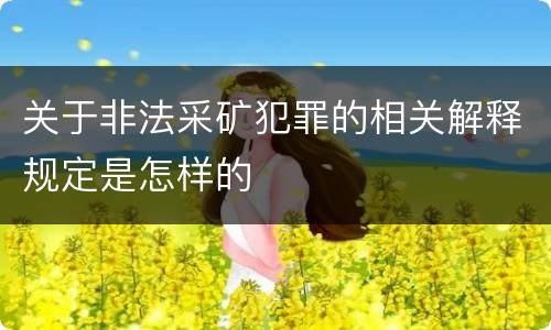 关于非法采矿犯罪的相关解释规定是怎样的