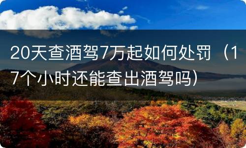 20天查酒驾7万起如何处罚（17个小时还能查出酒驾吗）