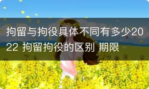 拘留与拘役具体不同有多少2022 拘留拘役的区别 期限