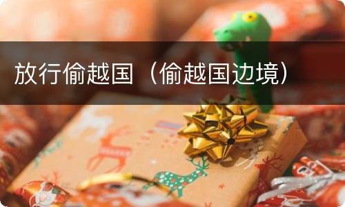 放行偷越国（偷越国边境）