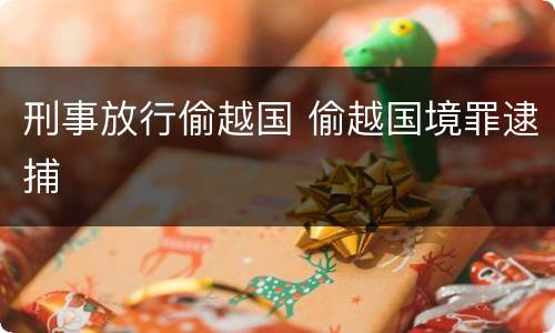 刑事放行偷越国 偷越国境罪逮捕