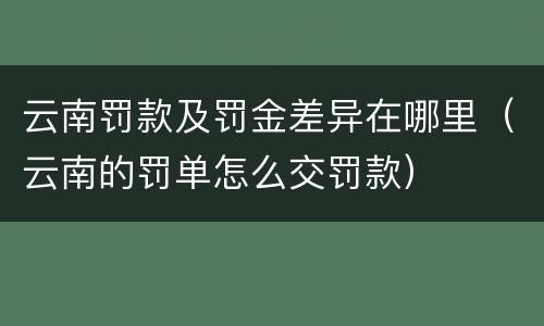 云南罚款及罚金差异在哪里（云南的罚单怎么交罚款）