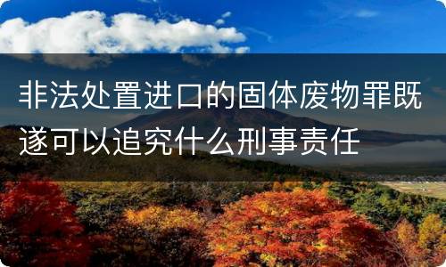 非法处置进口的固体废物罪既遂可以追究什么刑事责任