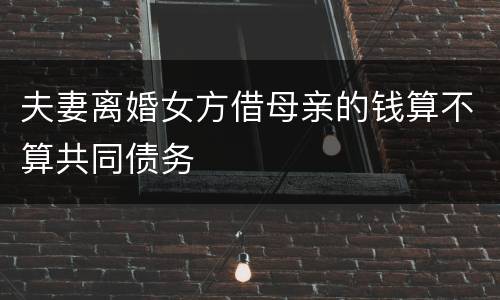 夫妻离婚女方借母亲的钱算不算共同债务