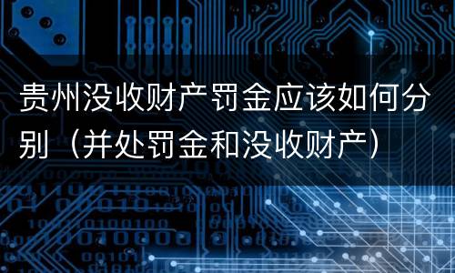 贵州没收财产罚金应该如何分别（并处罚金和没收财产）