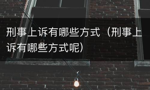 刑事上诉有哪些方式（刑事上诉有哪些方式呢）