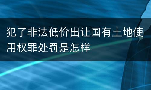犯了非法低价出让国有土地使用权罪处罚是怎样