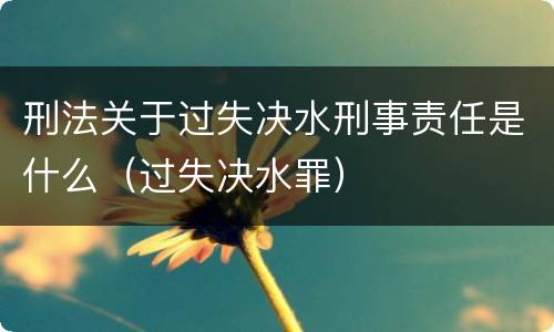 刑法关于过失决水刑事责任是什么（过失决水罪）