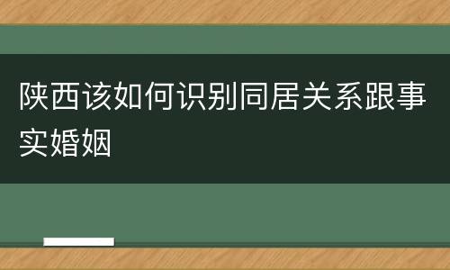 陕西该如何识别同居关系跟事实婚姻