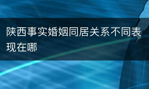 陕西事实婚姻同居关系不同表现在哪