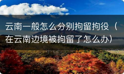 云南一般怎么分别拘留拘役（在云南边境被拘留了怎么办）