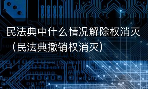 民法典中什么情况解除权消灭（民法典撤销权消灭）